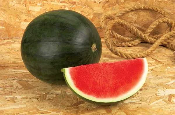 Things That Weigh 4 Kilograms