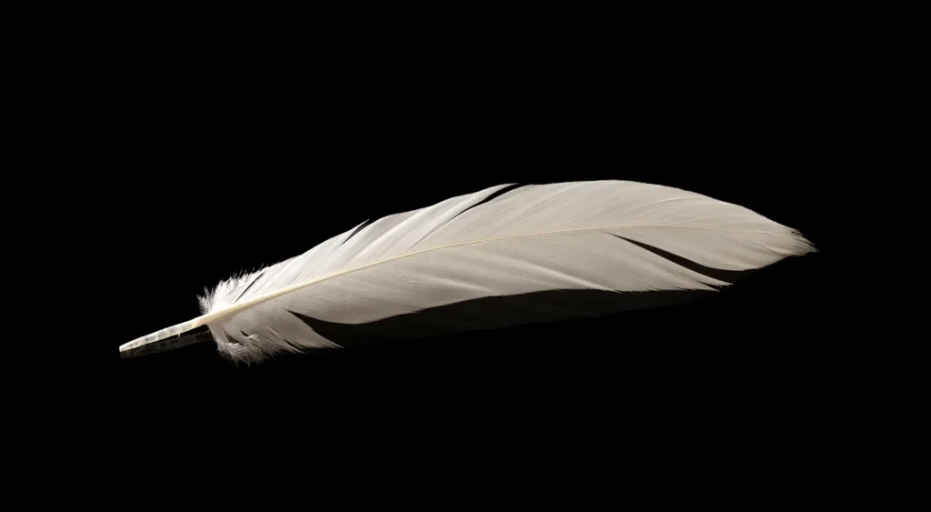 Things That Weigh 3 Grams