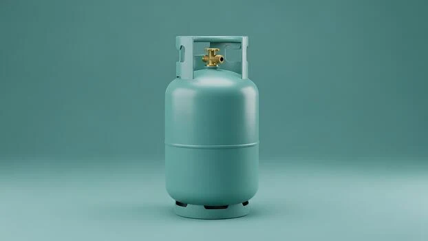 Things That Weigh 10 Kilograms