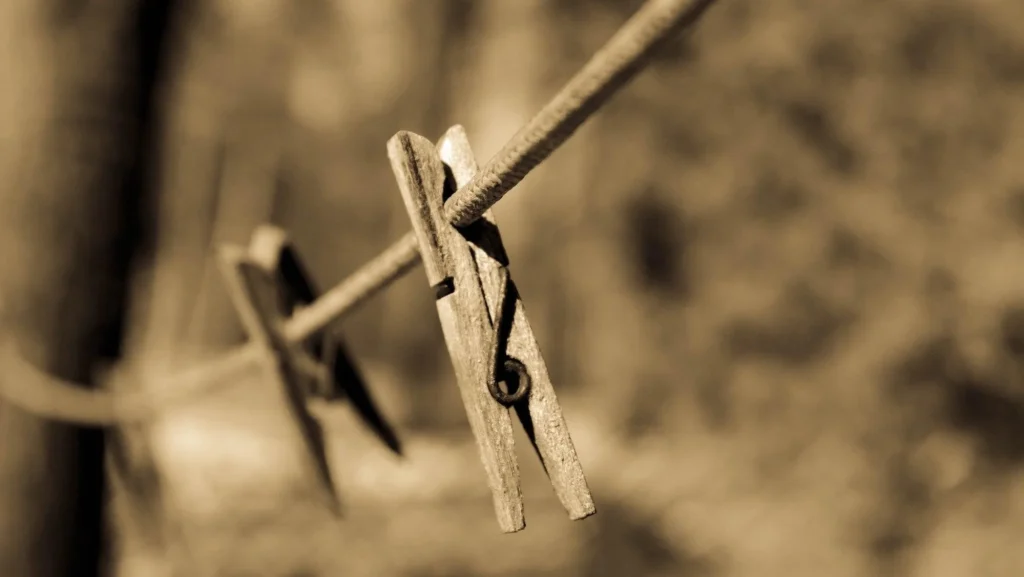 Things That Weigh 7 Grams